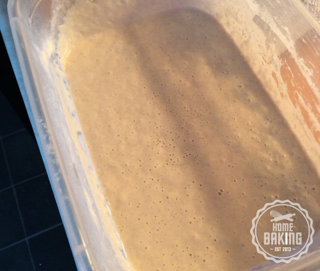 sourdough starter