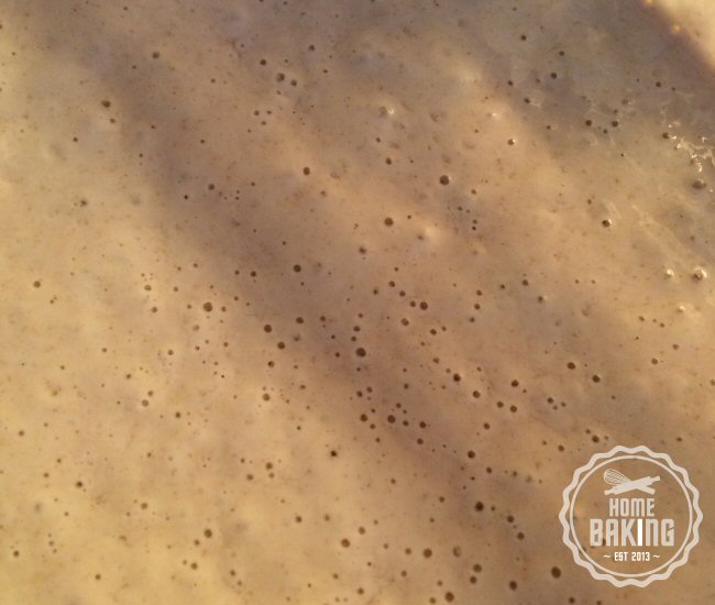 sourdough bubbles